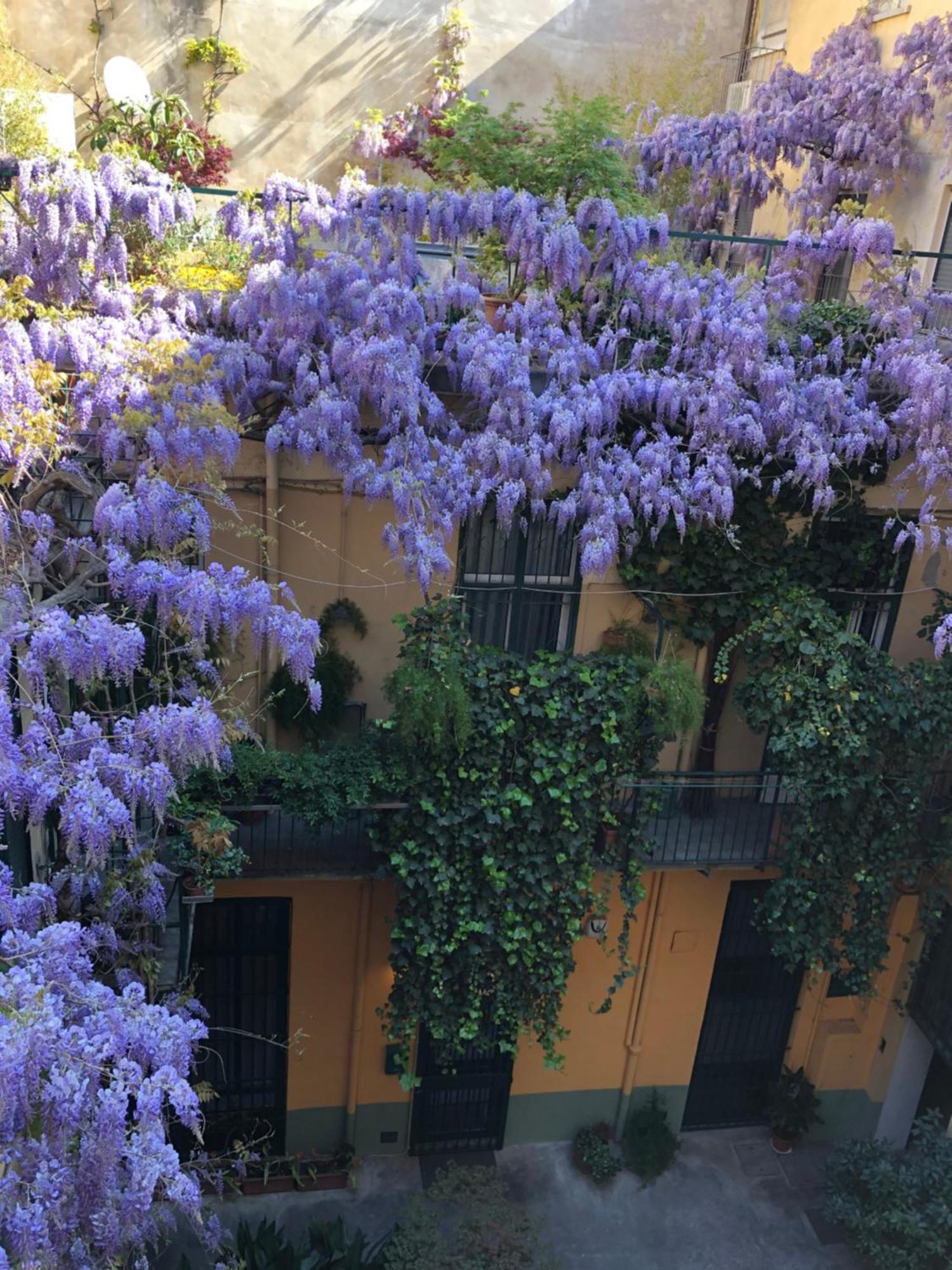 La Casa Degli Angeli Leilighet Torino Eksteriør bilde