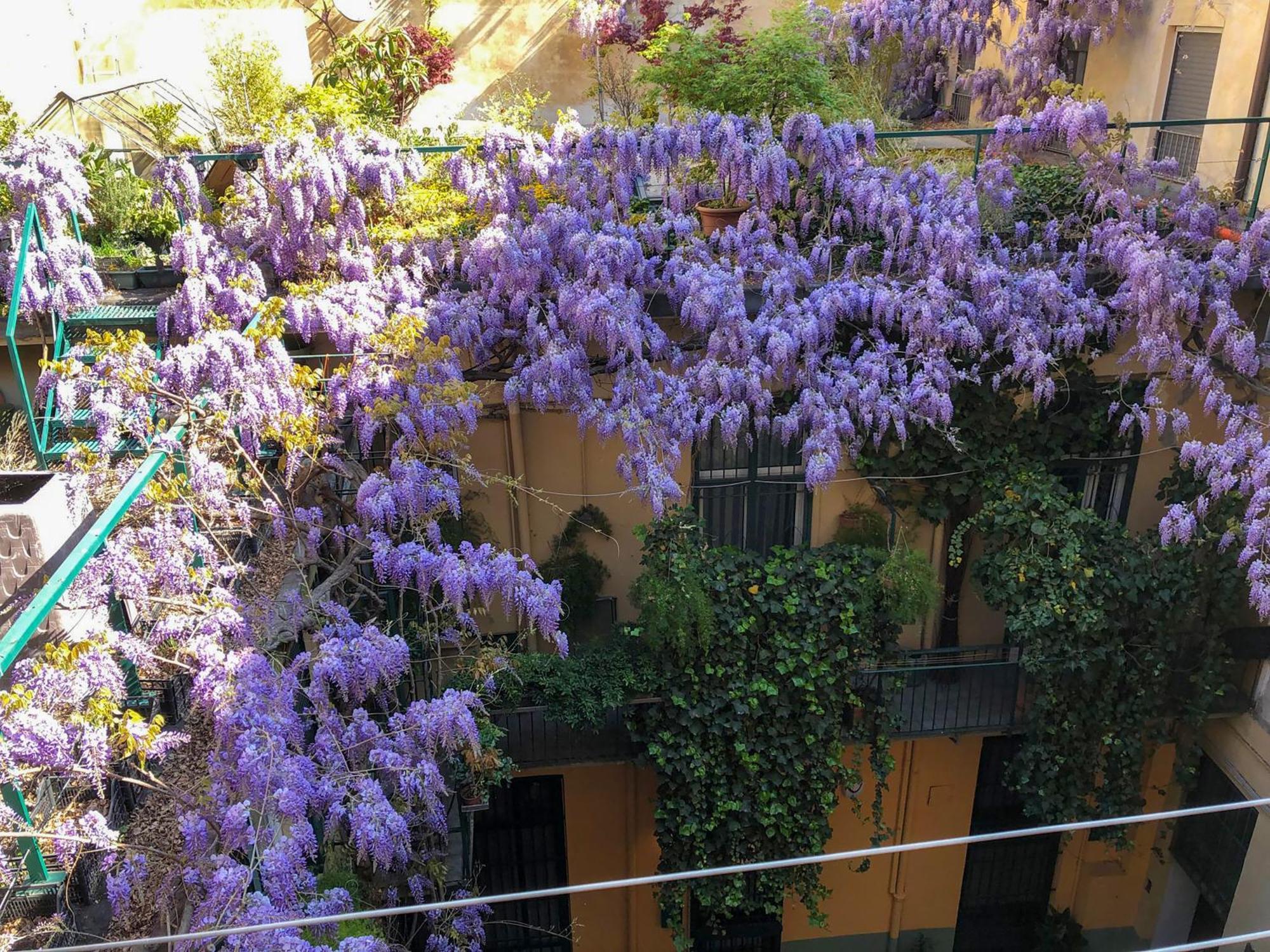 La Casa Degli Angeli Leilighet Torino Eksteriør bilde